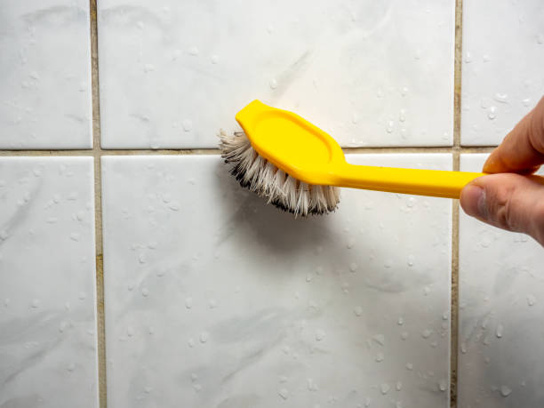 Best Fast Mold Removal  in Lewisburg, PA