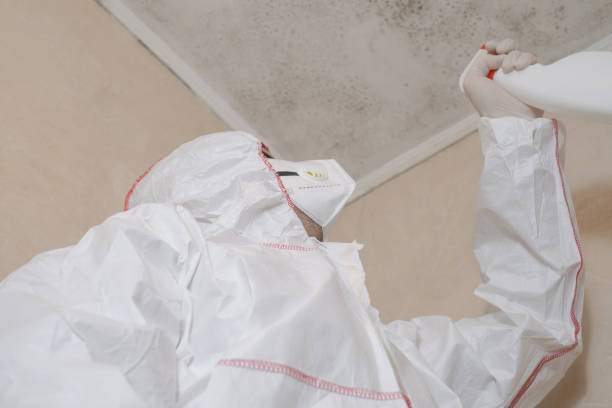 Best Best Mold Removal Companies  in Lewisburg, PA